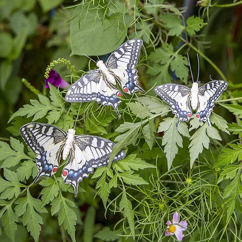 Miniatura 7 de Juego de 12 decoraciones de mariposa de plumas y mariposas multicolores, mariposas papilio machaon en alambre. Decoración del hogar de primavera