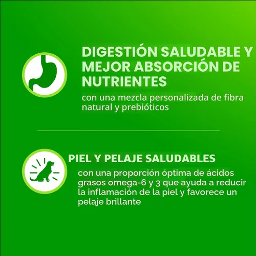 Miniatura 6 de IAMS Proactive Health Adult Minichunks Alimento Seco para Perros receta de Pollo y Granos Integrales, Bolsa de 30 lb