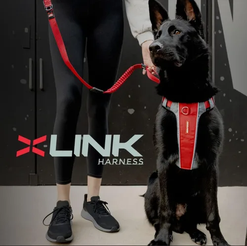 Miniatura 2 de EzyDog X-Link - Arnés para perro, reflectante y acolchado, sin tirones, para entrenamiento y paseos diarios, con 2 puntos de fijación para correa