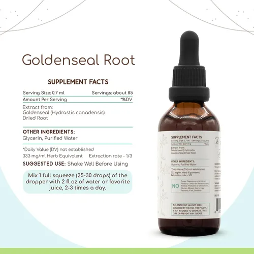 Miniatura 2 de HerbEra Goldenseal Root B60 - Tintura de extracto de hierbas sin alcohol, superconcentrado de cultivo responsable Goldenseal (Hydrastis Canadensis)