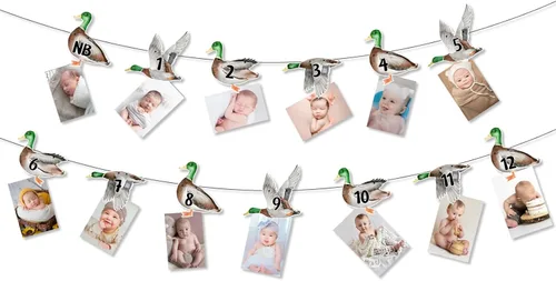 Cartel de fotos de 1er cumpleaños de pato mallardo, cartel con imagen temática de pato de recién nacido a 12 meses, registro de crecimiento,