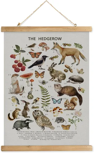 Miniatura 25 de XIAOAIKA Póster Educativo de Vida Silvestre de Seto Británico - Cuadro Ilustrado de la Naturaleza con Marco de Madera - Arte de Pared de Animales