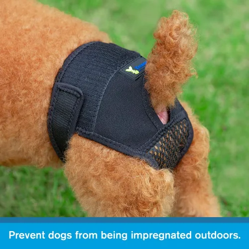 Miniatura 3 de Bragas para perros en celo, pantalones reutilizables para evitar que se cruzen. Ropa interior lavable para proteger a las perras de perros machos