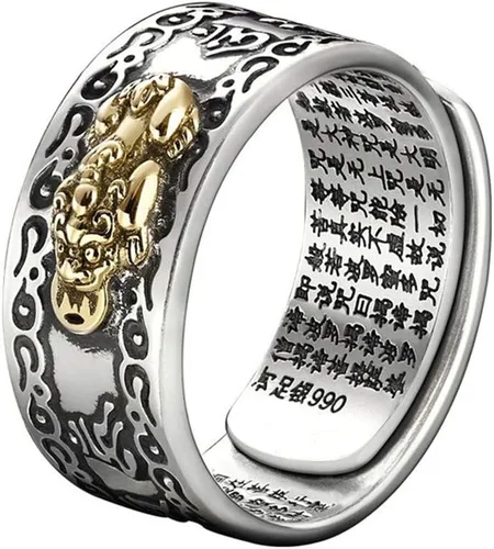 Anillo vintage de plata Feng Shui Pixiu para mujeres y hombres, grabado textos budistas, alivio máximo, sapo dragón, Pixiu, camafeo, riqueza, buena