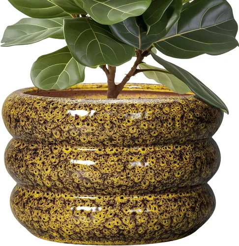 Miniatura 34 de Maceta de cerámica SQOWL para plantas de 8 pulgadas - Maceta de interior con orificio de drenaje para plantas de exterior, maceta floral moderna