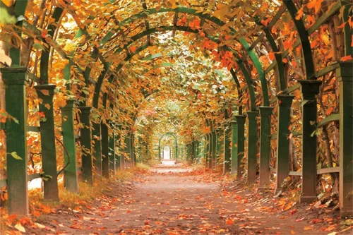 Miniatura 4 de shensu Telones de fondo de hoja de arce para fotografía, vinilo de 5 x 3 pies, túnel de jardín, hojas caídas de otoño, fondo de fotografía
