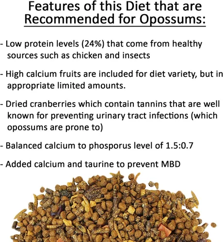 Exotic Nutrition Opossum Complete 4 LB | Dieta nutricional saludable en pellets | Alimento para zarigüeyas de cola corta y Virginia