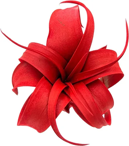 ragnaroc Plantas de aire – Tillandsia Xerographica Pup teñido, grande 2-4 pulgadas (Jule Red) – 1ct – Llegada viva garantizada – Plantas de interior