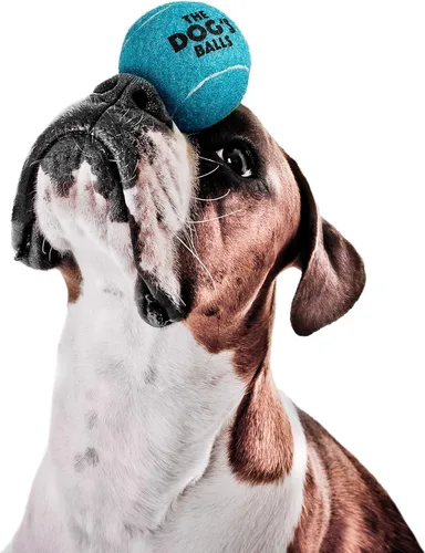 Miniatura 3 de The Dog's Balls Pelotas de tenis para perros para perros, color azul, paquete de 12 pelotas de fieltro no abrasivas, núcleo de goma resistente