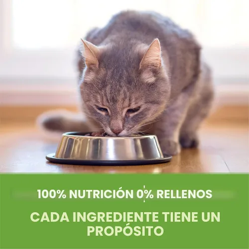 Miniatura 9 de Purina ONE Natural +Plus Indoor Advantage - Alimento seco para gatos domésticos, bajo en grasa, para control de peso, bolsa de 16 libras
