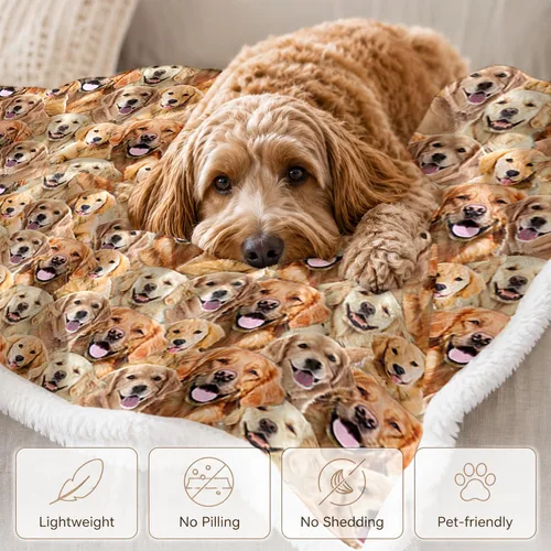 Miniatura 4 de BlessLiving Golden Retriever - Manta con patrones densos de perros, manta de forro polar Sherpa para sofá cama, manta suave y acogedora