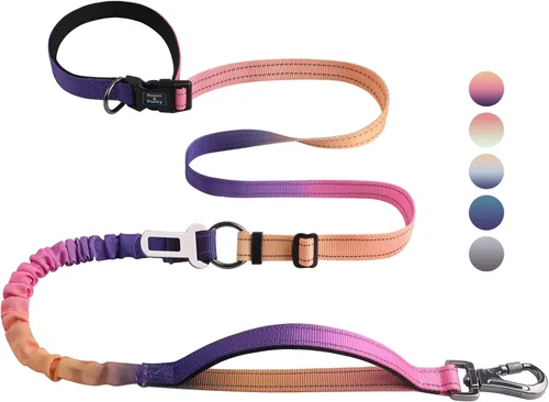 Miniatura 8 de Roses&Poetry Correa de Perro Manos Libres con Bolsa con Cremallera, Correa Elástica de Cintura de 6-9 pies para Caminar con Perros Medianos