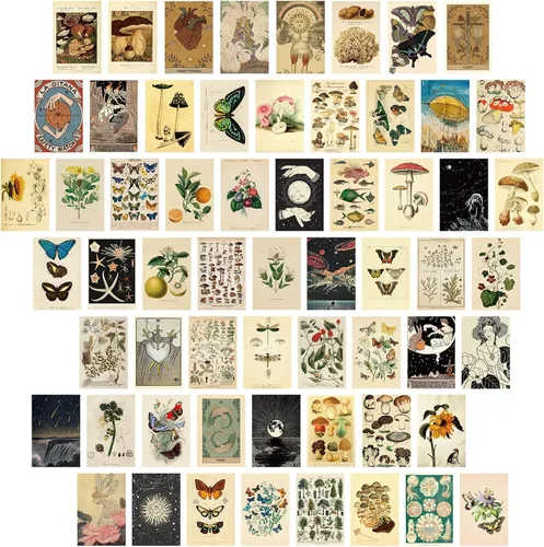 Containlol Kit de Collage de Pared Vintage de 60 Piezas Pinturas Maximalistas Láminas de Arte Ilustración Botánica Tarot Estética Láminas Vintage