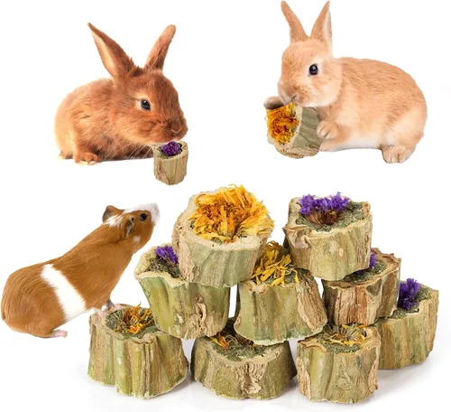 Miniatura 9 de Abizoo Juguetes masticables de conejo para conejo, madera de papaya natural, golosinas masticables con heno de alfalfa orgánica, zanahoria seca