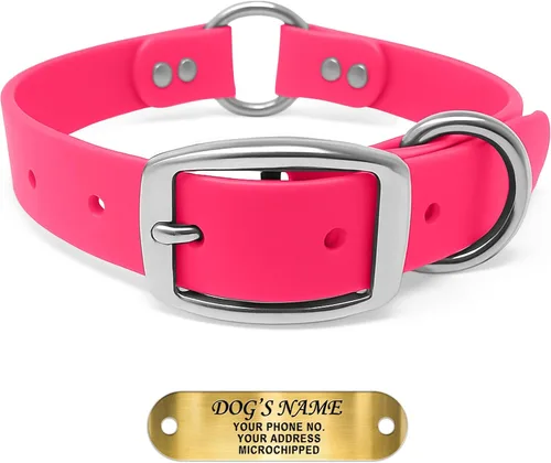 Miniatura 20 de Regal Dog Products Collar de Perro Naranja Mediano con Placa de Nombre Grabada Personalizada - Ajuste Personalizado, Resistente, Fácil de Limpiar
