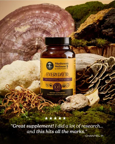 Miniatura 9 de Mushroom Wellness Everyday 10: Cápsulas orgánicas de hongos 10 en 1 con melena de león, shiitake, reishi, cola de pavo y más, suplemento en polvo