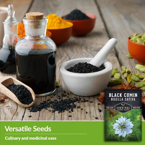 Miniatura 4 de Survival Garden Seeds Nigella Sativa Semillas de comino negro para plantar, 1 paquete Té medicinal de semillas negras y especias culinarias
