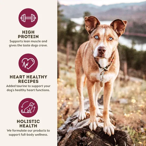 Miniatura 4 de Only Natural Pet MaxMeat Alimento Seco Holístico Secado al Aire para Perros - Totalmente Natural, Alto en Proteínas, Sin Granos e Ingredientes