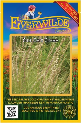 Miniatura 4 de Everwilde Farms - Semillas de hierba nativa Grama de avena lateral de 1/4 lb - Gold Vault
