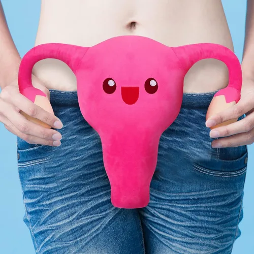 Miniatura 4 de Mumufy Uterus - Juguete de peluche divertido para mujeres, regalos de útero, ginecólogo, salud, regalo educativo, fertilidad, decoración de fiesta