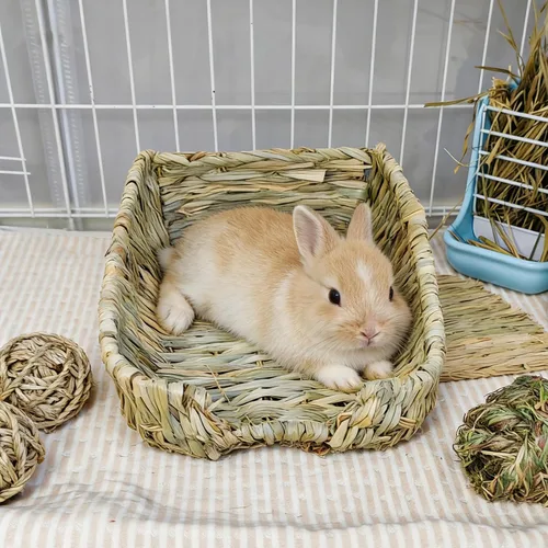 Miniatura 4 de Hamiledyi Cama de hierba de conejo, alfombrilla de heno natural hecha a mano, bolas masticables para conejo, jerbo, chinchilla, cobaya, hurón, otros