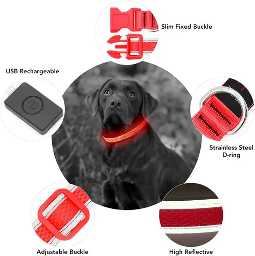 Miniatura 4 de YFbrite Collar de perro iluminado, collar de cachorro con LED recargable por USB, superbrillante, ajustable, luces brillantes para perro para Rojo