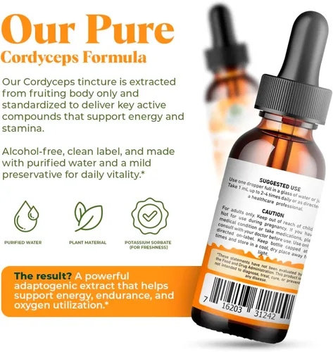 Miniatura 3 de Cordyceps - Extracto de hongos fructíferos - 250 mg por porción - Suplemento líquido de extracto dual - Apoyo de energía y resistencia - Vegano, sin