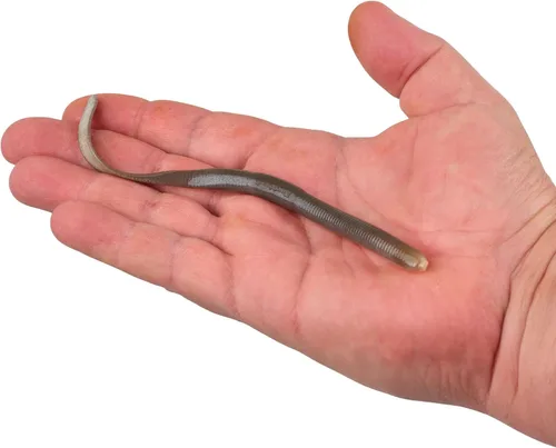 Miniatura 4 de Berkley ¡Gulp! SR Crawler Fishing Soft Bait Smelt