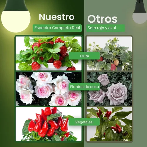 Miniatura 3 de Bombillas de cultivo Briignite LED A19, bombilla de crecimiento de espectro completo, base E26, bombilla de cultivo de 11 W, equivalente a 100 W