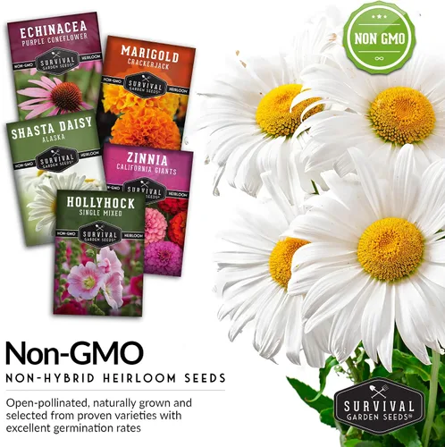 Miniatura 5 de Colección de 5 semillas de flores para plantar - Zinnia, caléndula, equinácea, margarita y hollyhock - Paquete de regalo de polinizador sin OMG