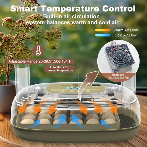 Miniatura 4 de Incubadoras para incubar huevos, incubadora inteligente de 24 huevos con giro automático de huevos y control de humedad, incubadora de alta tasa