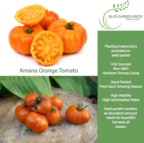 Miniatura 2 de Amana Semillas de tomate herencia de bistec naranja para plantar, más de 50 semillas tradicionales por paquete, semillas sin OMG