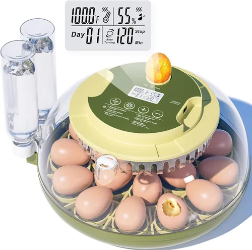 Incubadora de 18 huevos, incubadora para incubar huevos, giro automático de huevos y control de temperatura de humedad, vela de huevos, día de