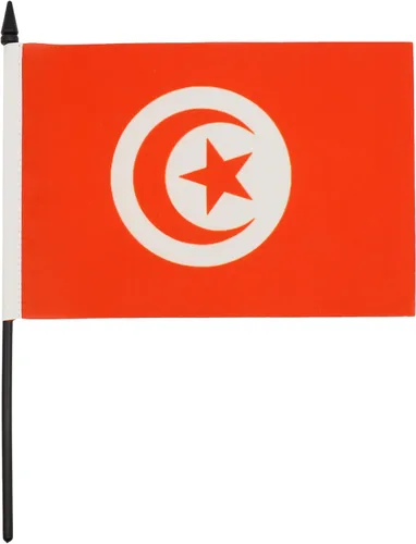Miniatura 213 de AZ FLAG Sierra Leone Bandera de mesa 5'' x 8'' - Bandera de escritorio de Sierra Leona 21 x 14 cm - Bastón y base de plástico negro