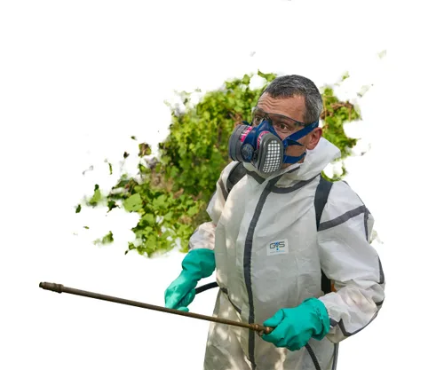 Miniatura 4 de GVS SPR657 Elipse Máscara de perfil bajo con filtros para polvo, gases orgánicos y vapores, M/L