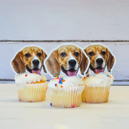 Miniatura 5 de VictoryStore Adornos personalizados para cupcakes – Juego de 150 adornos personalizados para cupcakes con foto personalizada, perfectos