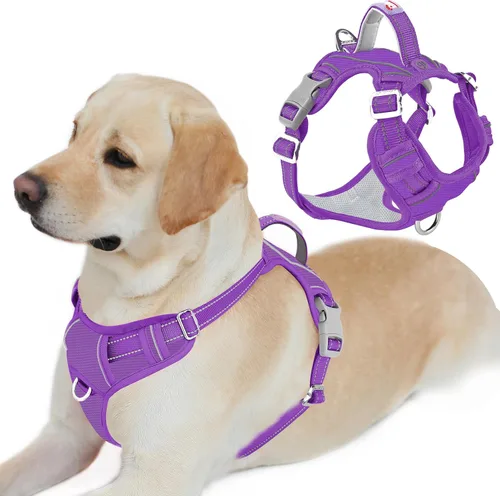 Miniatura 25 de BARKBAY Arnés para perro sin tirones con bolsillo para etiqueta de identificación, resistente, reflectante, fácil control para perros grandes