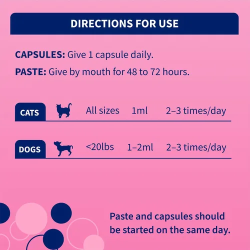 Miniatura 6 de Nutramax Probióticos proviables para perros y gatos pequeños, kit de apoyo para la diarrea, suplemento de salud digestiva con múltiples cepas
