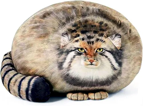 Miniatura 8 de ETAOLINE - Almohada acolchada y rellena de algodón con bonita forma de foca gordita de peluche (tamaño M)