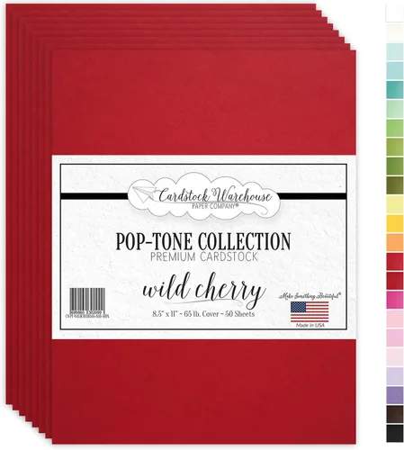 Miniatura 15 de Cardstock Warehouse Papel de Cartulina Pop-Tone Negro Licor de Anis – 50 Hojas, 8.5 x 11" - 65 lb / 175 GSM Cartulina Negra Premium para Corte