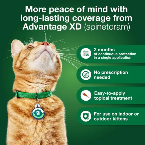 Miniatura 4 de Advantage XD - Prevención y tratamiento de pulgas para gatos pequeños 1.8-9lbs. 4 dosis tópicas, 2 meses de protección por dosis