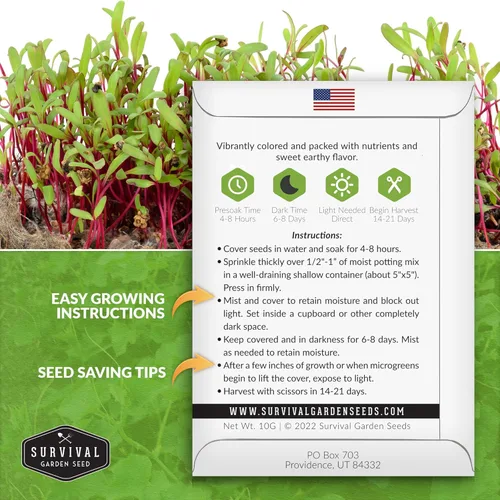Miniatura 2 de 1 paquete de semillas de microgreens de remolacha para plantar y cultivar – Planta microvegetales de hoja verde en interiores – Cultiva tu propio