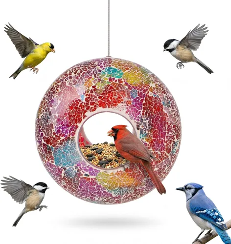 Miniatura 8 de Comedero para pájaros, comedero para pájaros salvajes a prueba de ardillas redondo, diseño de vidrio colgante con entrada para pájaros, comedero