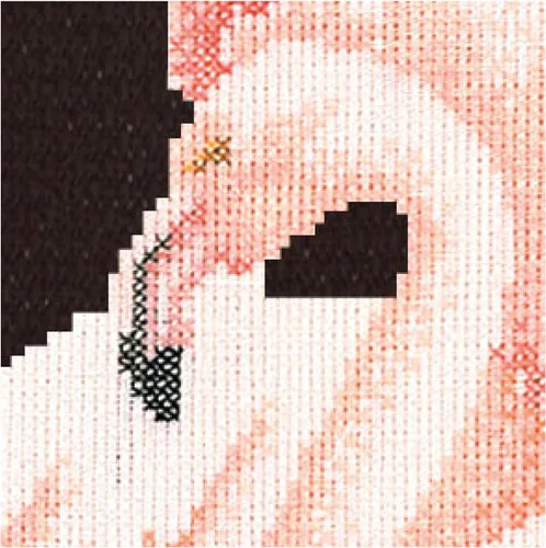 Miniatura 2 de Thea Gouverneur - Kit de punto de cruz, flamenco, negro Aida, 18 unidades, kit de bordado para adultos, hilos de bordado DMC y otros suministros