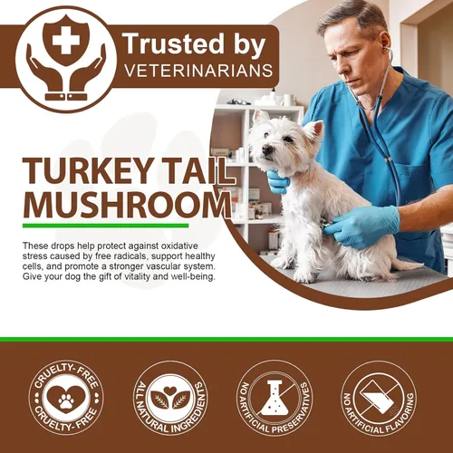 Miniatura 8 de Hongo de cola de pavo para perros, mezcla de hongos, cúrcuma y probiótico para apoyo inmunológico, digestivo y articular, cola de pavo para perros