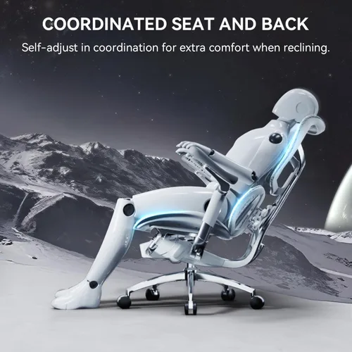 Miniatura 7 de SIHOO Doro S300 Silla Ergonómica de Oficina, Silla de Computadora, Silla Gaming con Soporte Lumbar Dinámico Doble, Reposabrazos Coordinados 6D