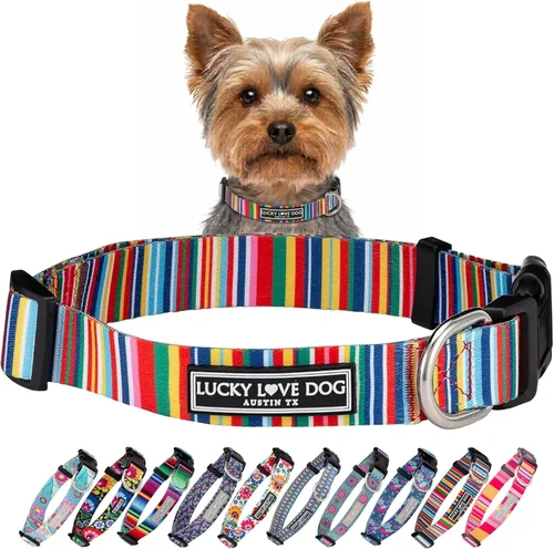 Miniatura 61 de Lucky Love Dog - Collar de perro ajustable con hebilla de fácil clic para los grandes, duradero y cómodo para perros machos y hembras, collar