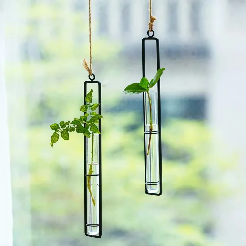 Miniatura 3 de Sziqiqi Florero de tubo de propagación de vidrio transparente colgante para esquejes, propagación de plantas hidropónicas, hogar, balcón, contenedor
