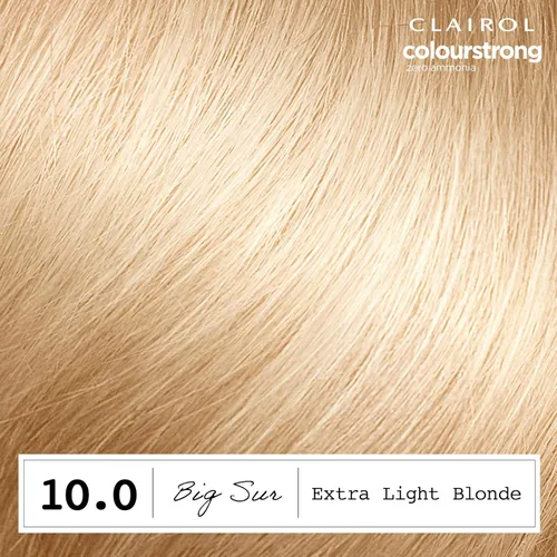 Miniatura 3 de Clairol ColorStrong - Tinte permanente para el cabello sin amoniaco, 10.0 rubio extra claro - Color de cabello Big Sur, paquete de 1 unidad