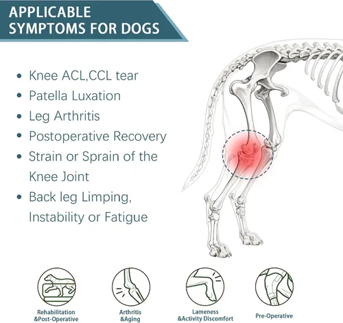 Miniatura 4 de Rodillera para perro para pierna trasera desgarrada del ACL, soporte para piernas traseras de perros, articulaciones cálidas y alivia el dolor